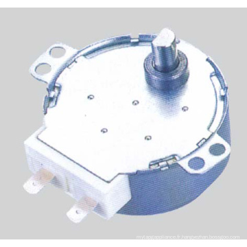 Moteur synchrone (49TDY -D)